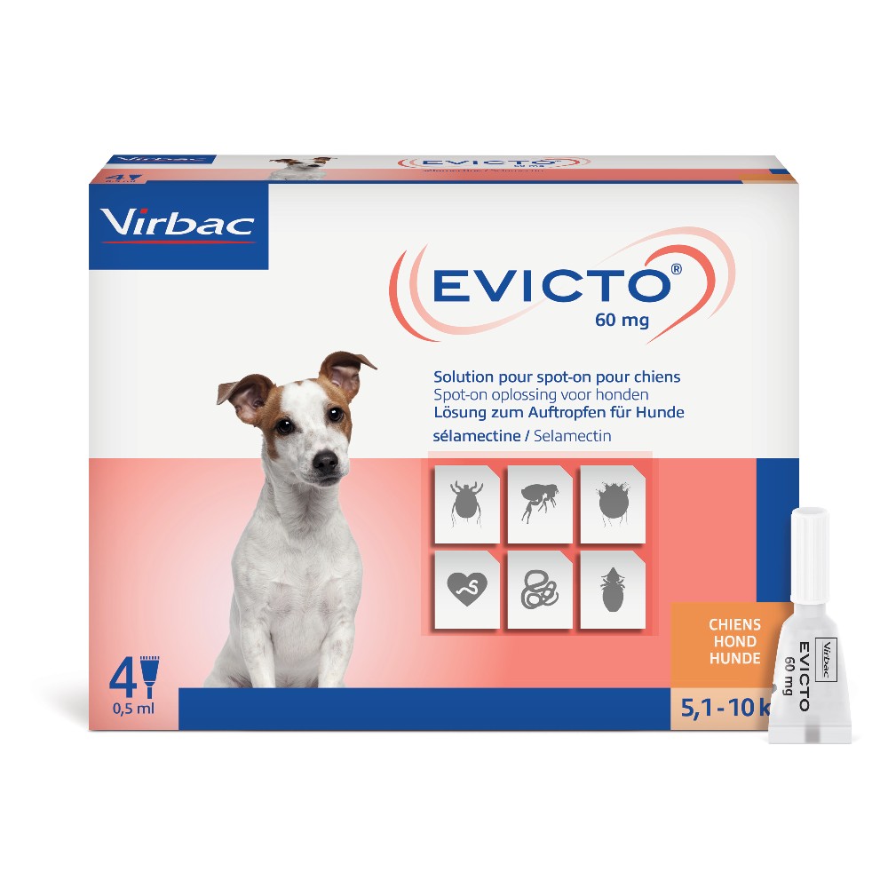 Evicto Rabbit EVICTO PERROS - Farmacia Veterinaria Online Albet