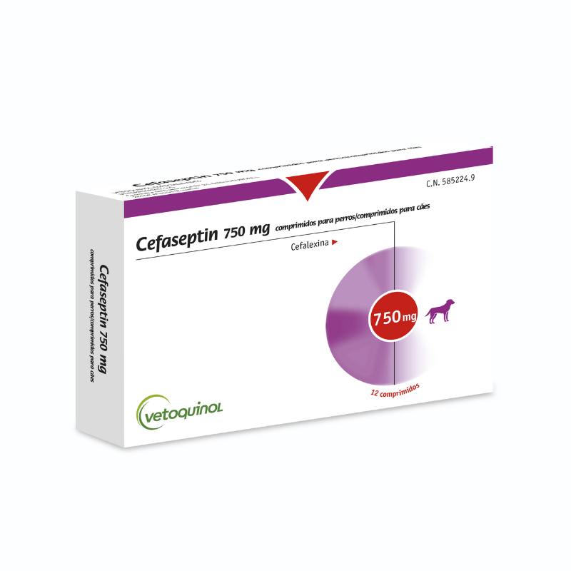 cleobetra Review Signs You Made A Great Impact On cleobetra