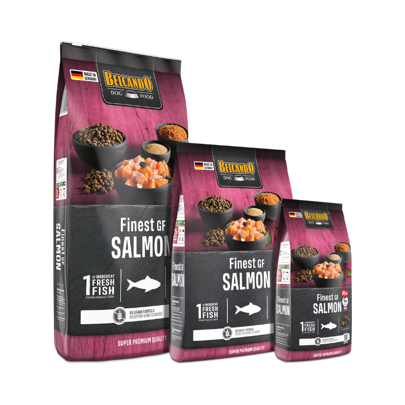 Finest Grain Free Salmón XS-M Belcando |Albet Distribuidora Online