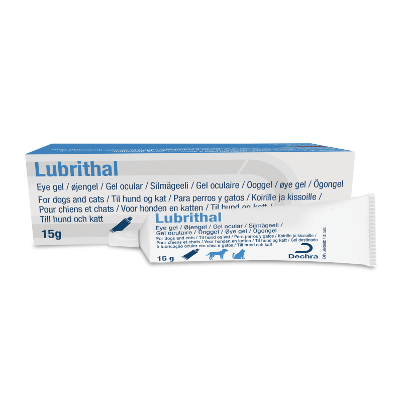 lubricantes sexuales recomendados JALEA LUBRICANTE 135 GR KY Lubricante hidrosoluble para procedimientos de  colocación de cánulas, sondas, catéteres o termómetros rectales. Magnífico  auxiliar en la inserción de tubos endotraqueales, cateterismo y lubricación  en general. Su main image 0